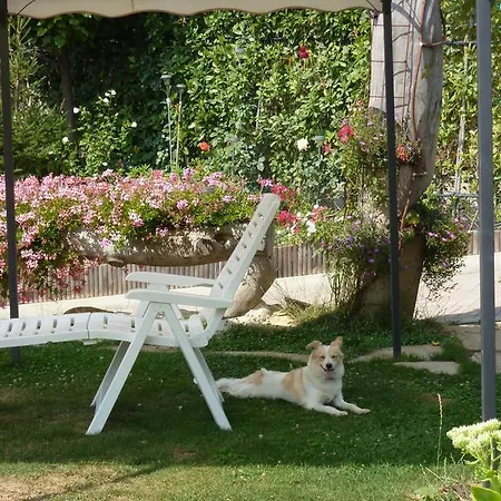 Bed & Breakfast Borgo Casola Montese